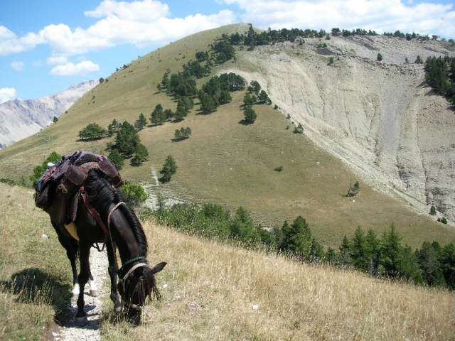  excursión de un día a caballo La Roche des Arnauds